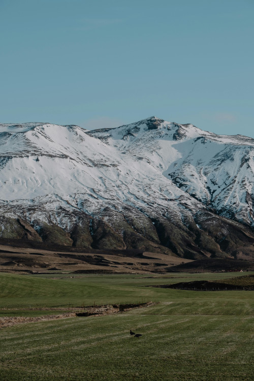 Green Treks: How We Keep the Himalayas Clean
