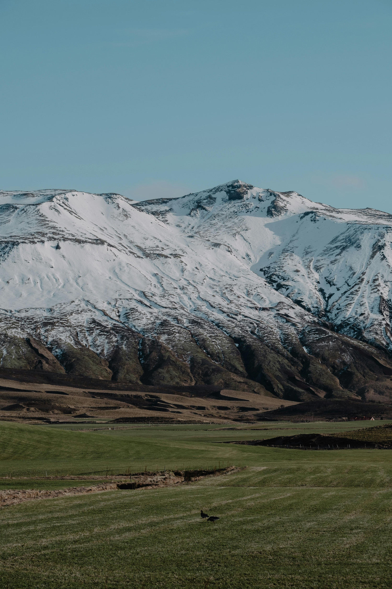 Green Treks: How We Keep the Himalayas Clean